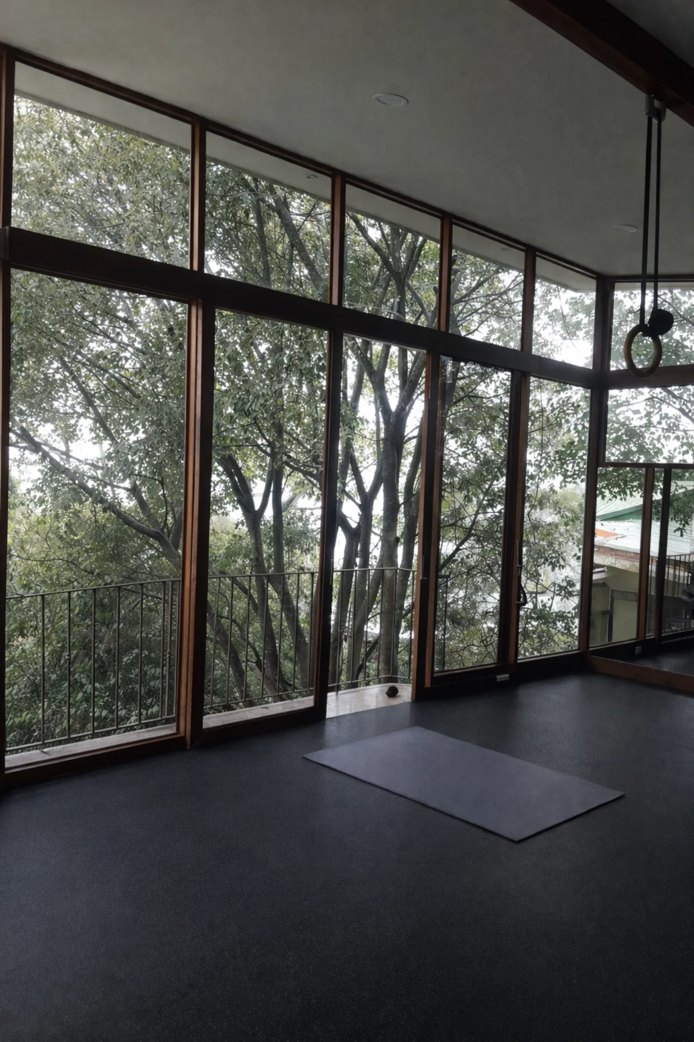 Proyecto escazu
