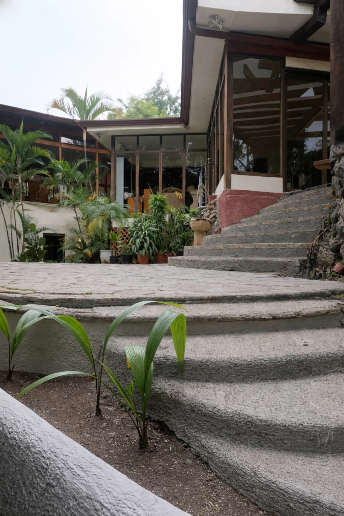 Proyecto escazu