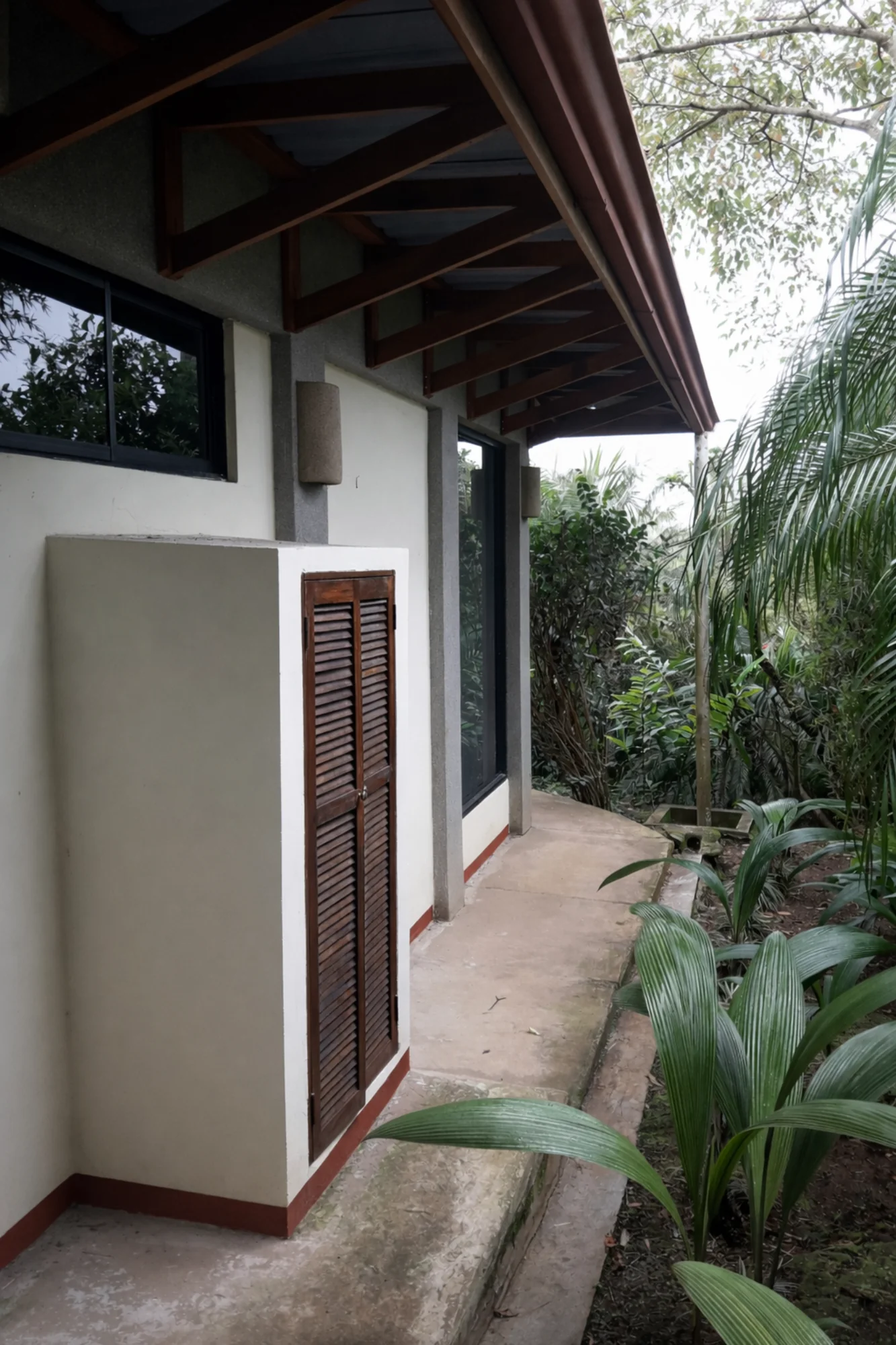Proyecto escazu
