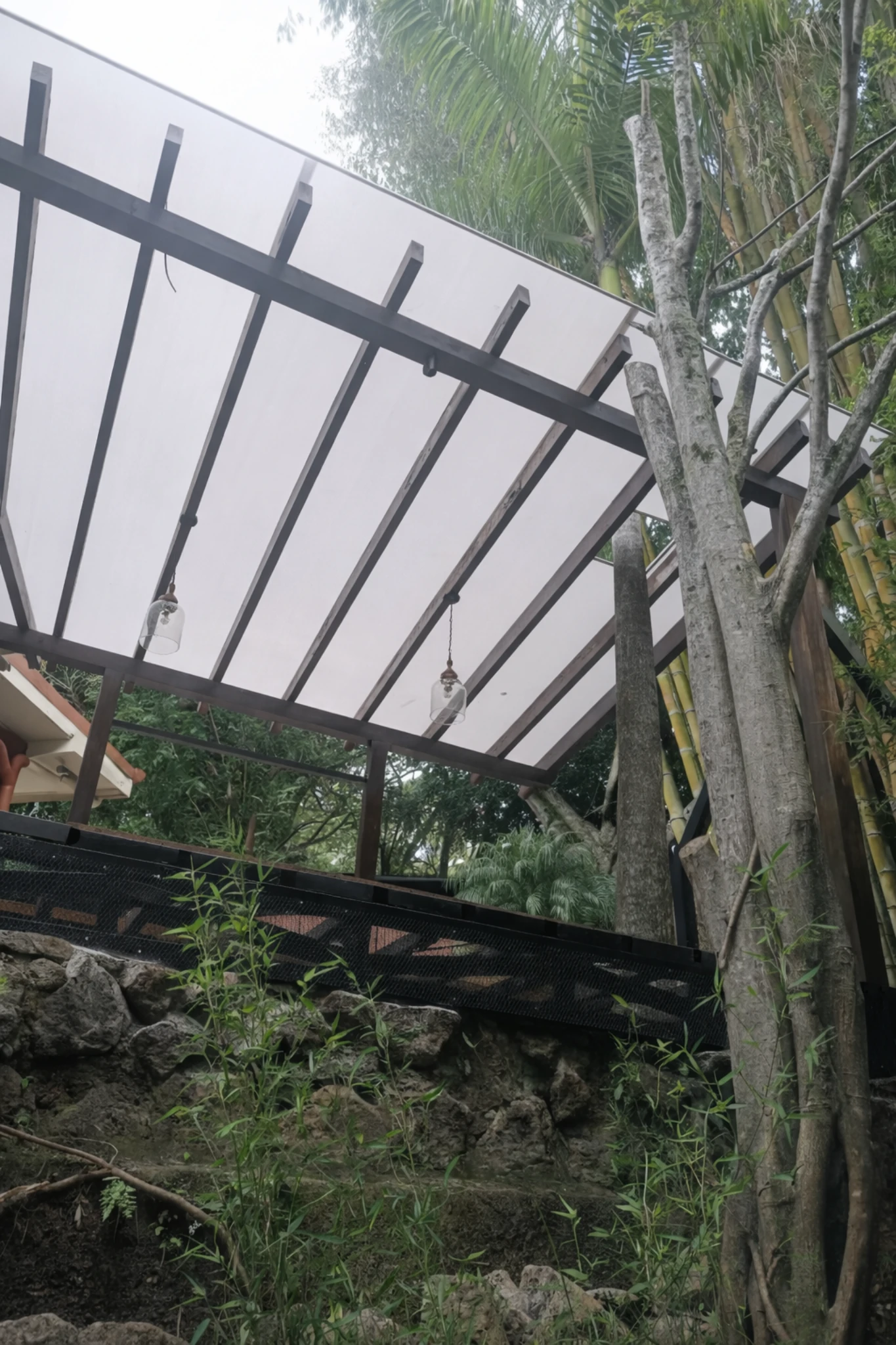 Proyecto escazu