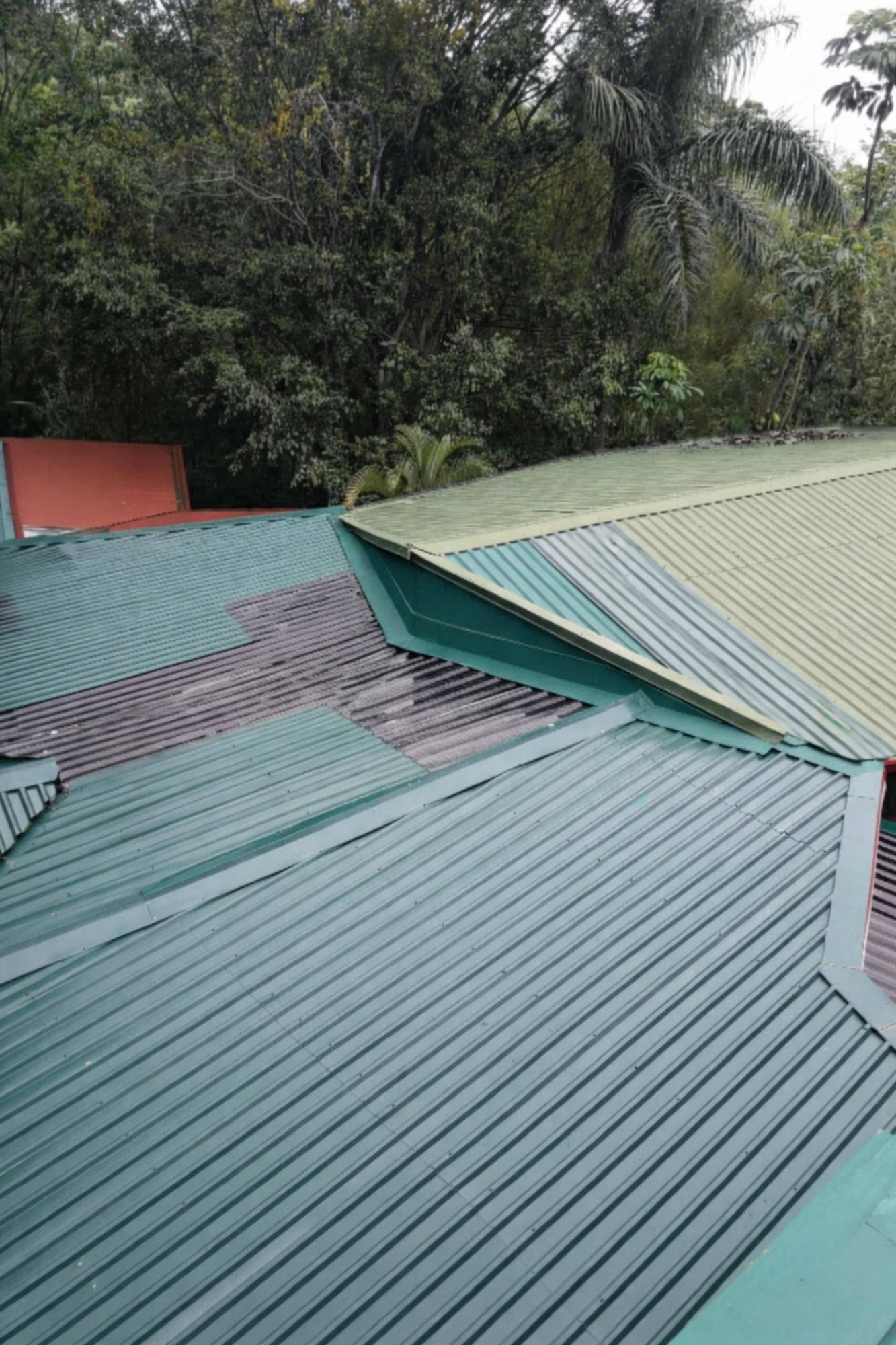 Proyecto escazu