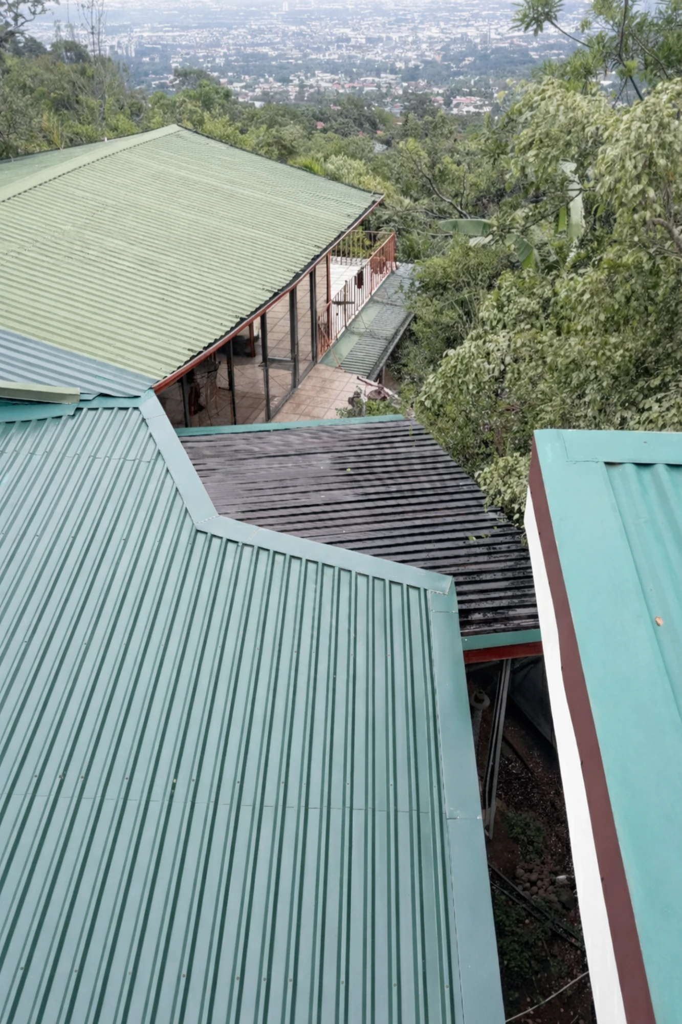 Proyecto escazu
