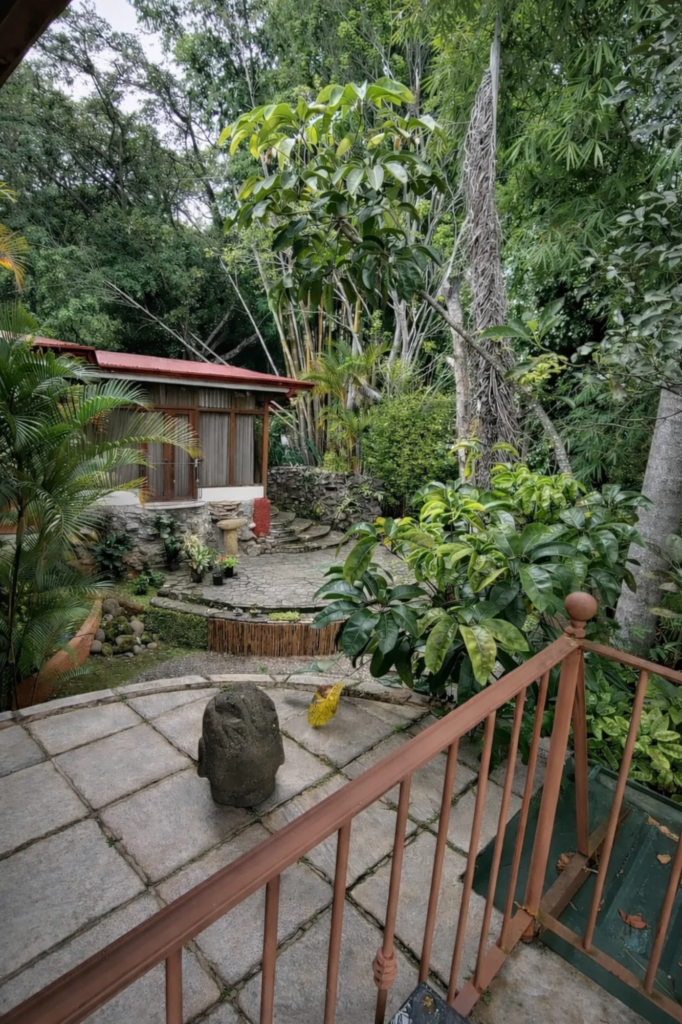 Proyecto escazu